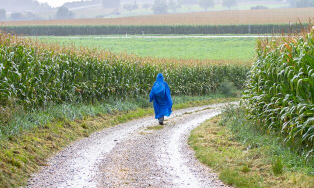 L’homme qui transforme la marche en activité solidaire.