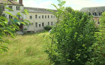 Des jardins pas si joyeux que ça !