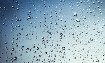 <strong>L’eau, un commun qui s’évapore </strong>