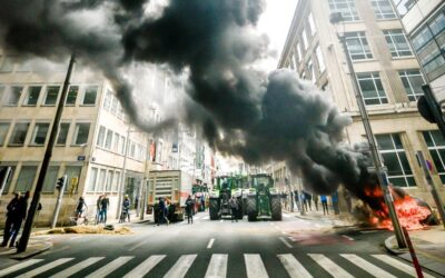 Aux racines de la détresse des agriculteurs