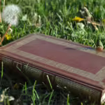 Vive les livres ! 