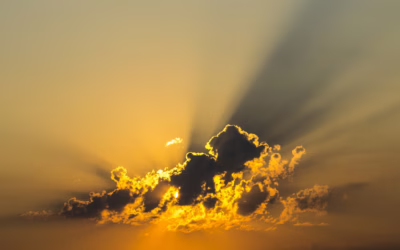 A l’ombre du soleil.