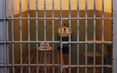 20 jours ou 20 ans, à quoi sert la prison ?