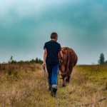 Variation sur le thème du travail  