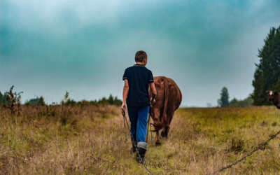 Variation sur le thème du travail  