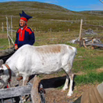 A la découverte des Samis