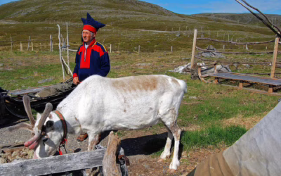 A la découverte des Samis