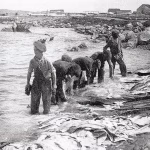 Se souvenir des enfants « graviers » 