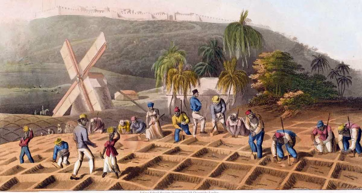 Toussaint Louverture : combattre pour la liberté