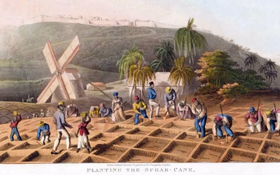 Toussaint Louverture : combattre pour la liberté